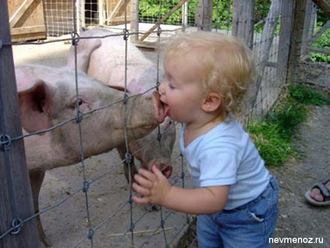 092adcc32da2a99fba5f67b83799f135